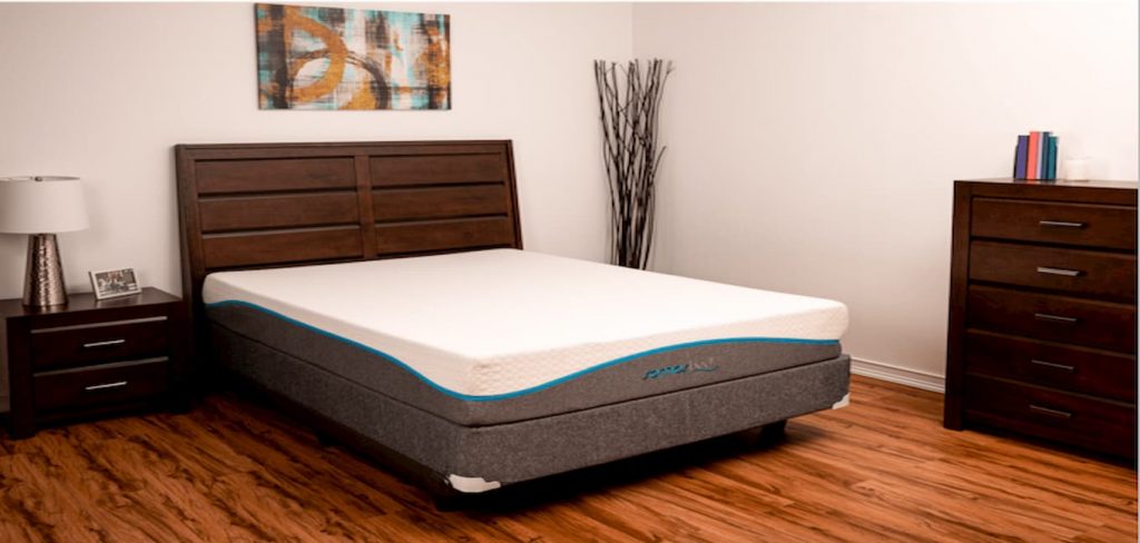 Somos Reviva Memory Foam Mattress