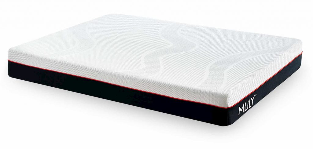 Mlily The Ego Memory Foam Mattress