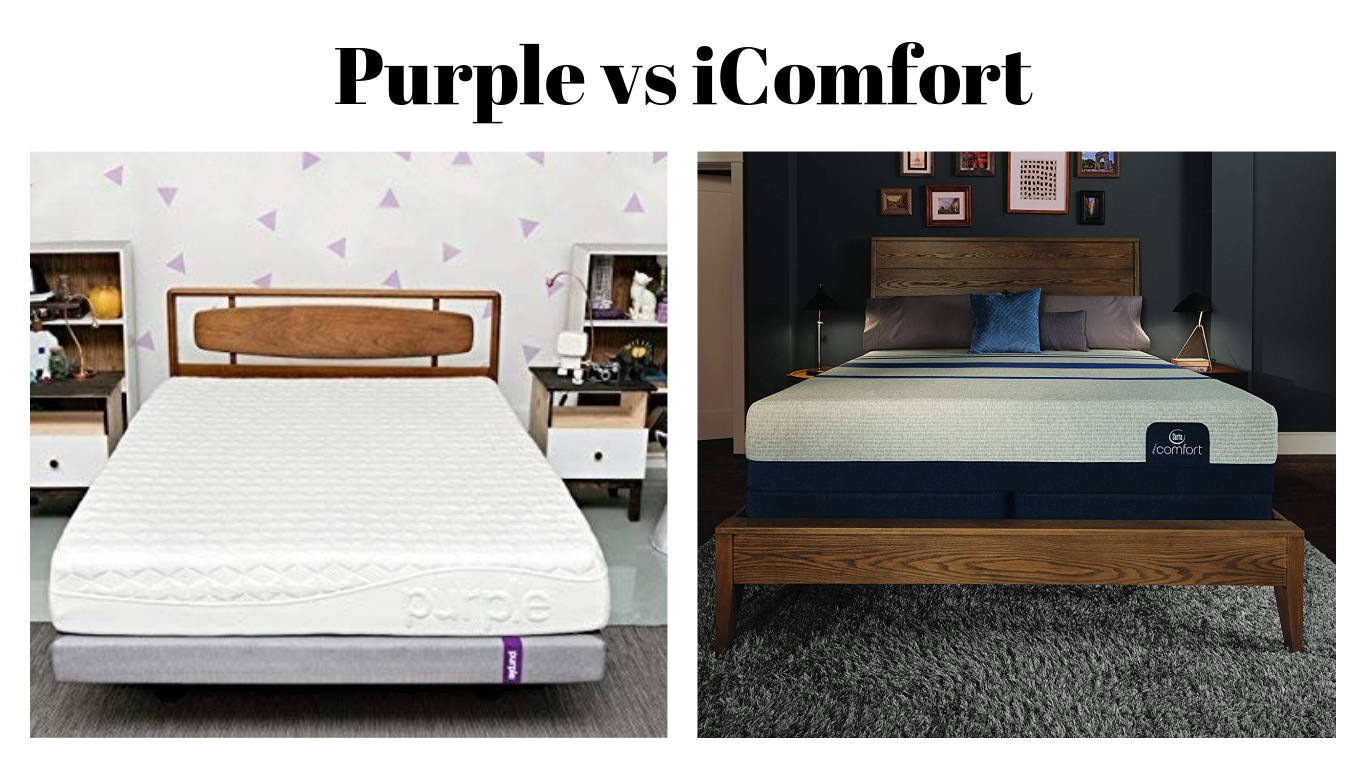 the purple mattress vs serta sleep comfort